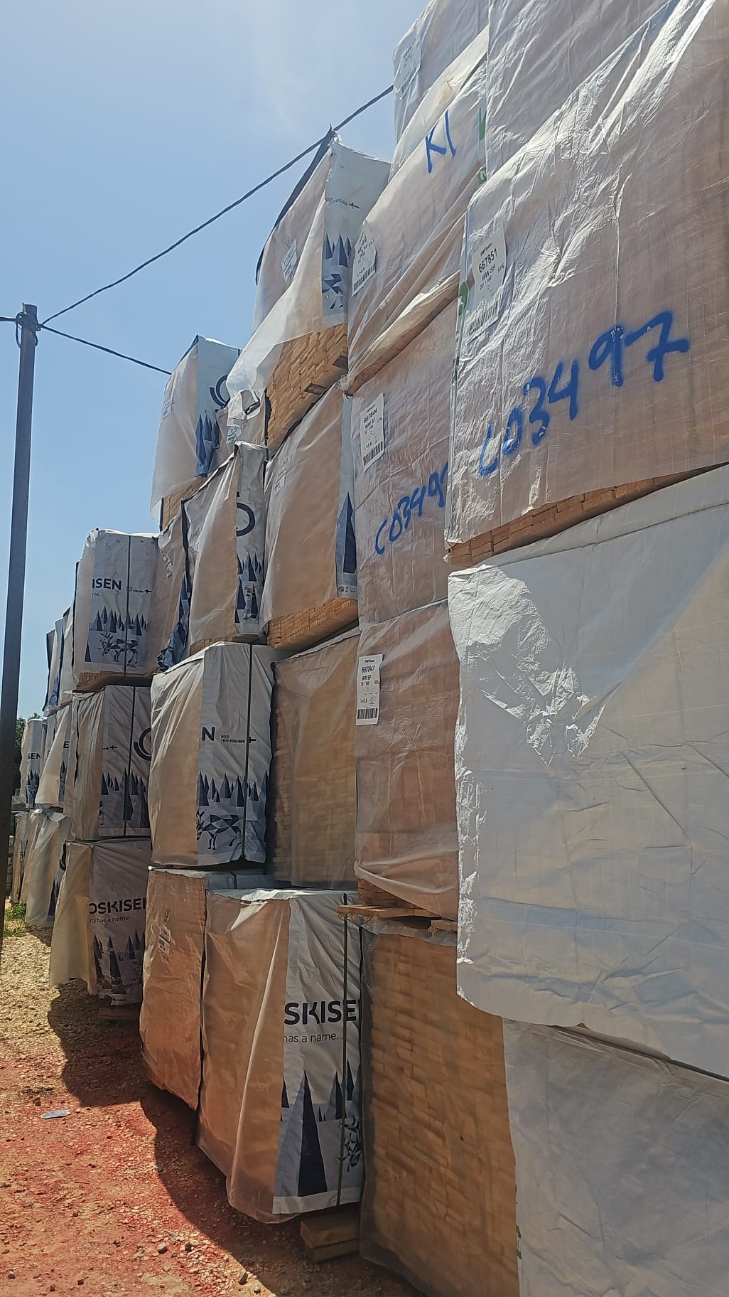 עץ לדקים חיצוניים